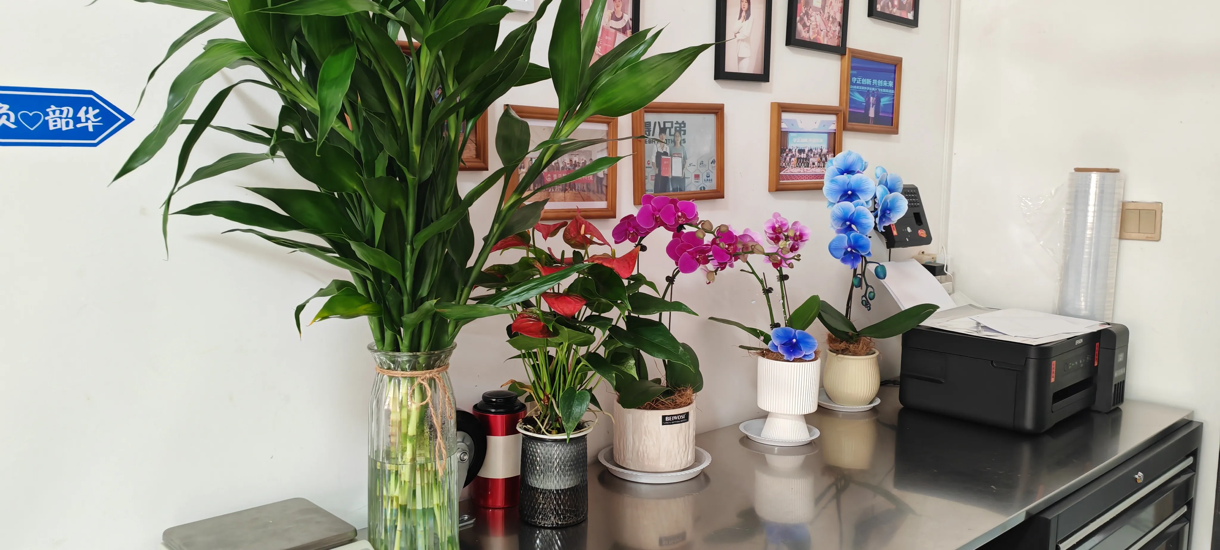 Benvenuti ai nuovi amici di JOJO Pack!