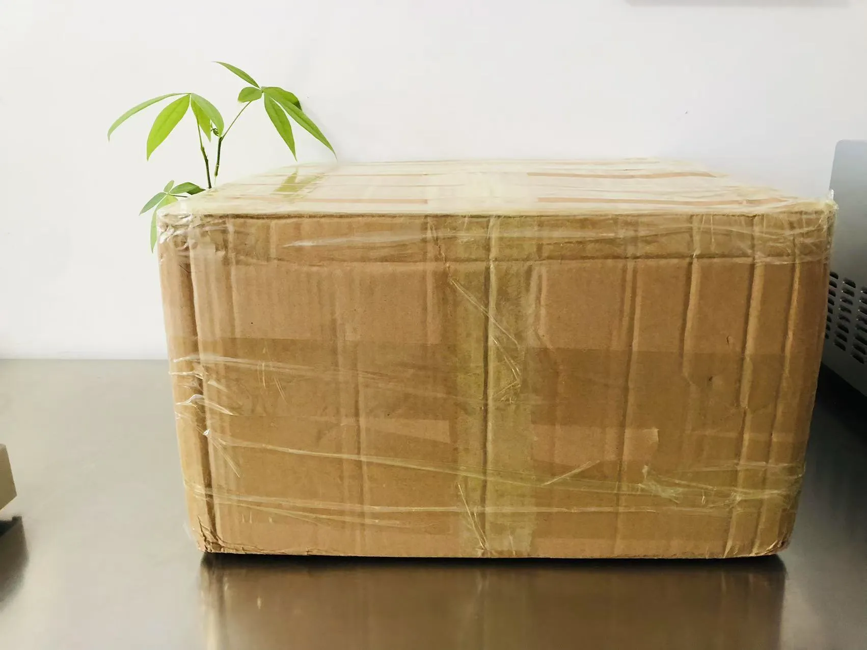 Adesivi epossidici solidi dei cartoni animati ora in viaggio verso il Giappone